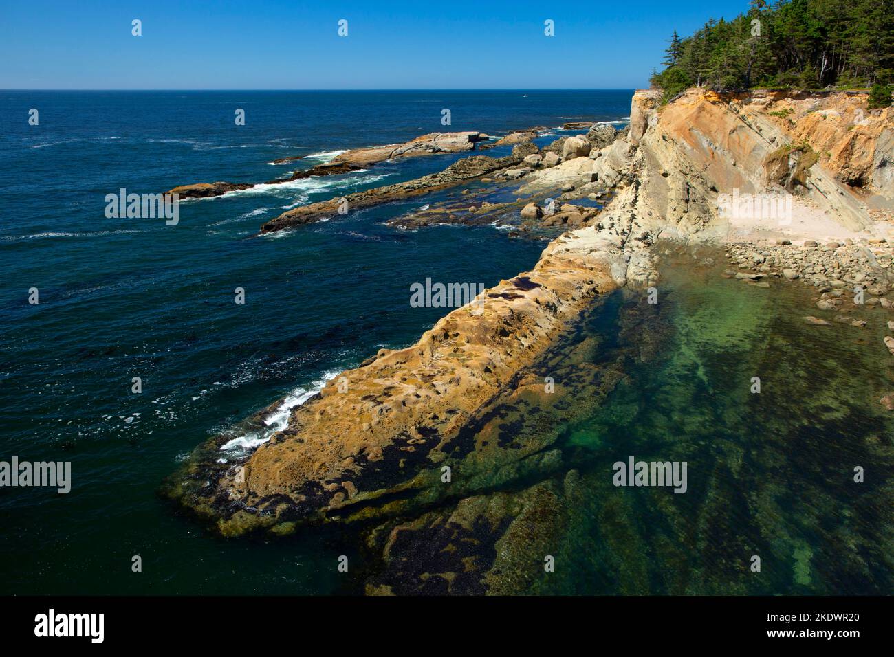 Coastal bluff views, Shore Acres State Park, Oregon Stock Photo Alamy