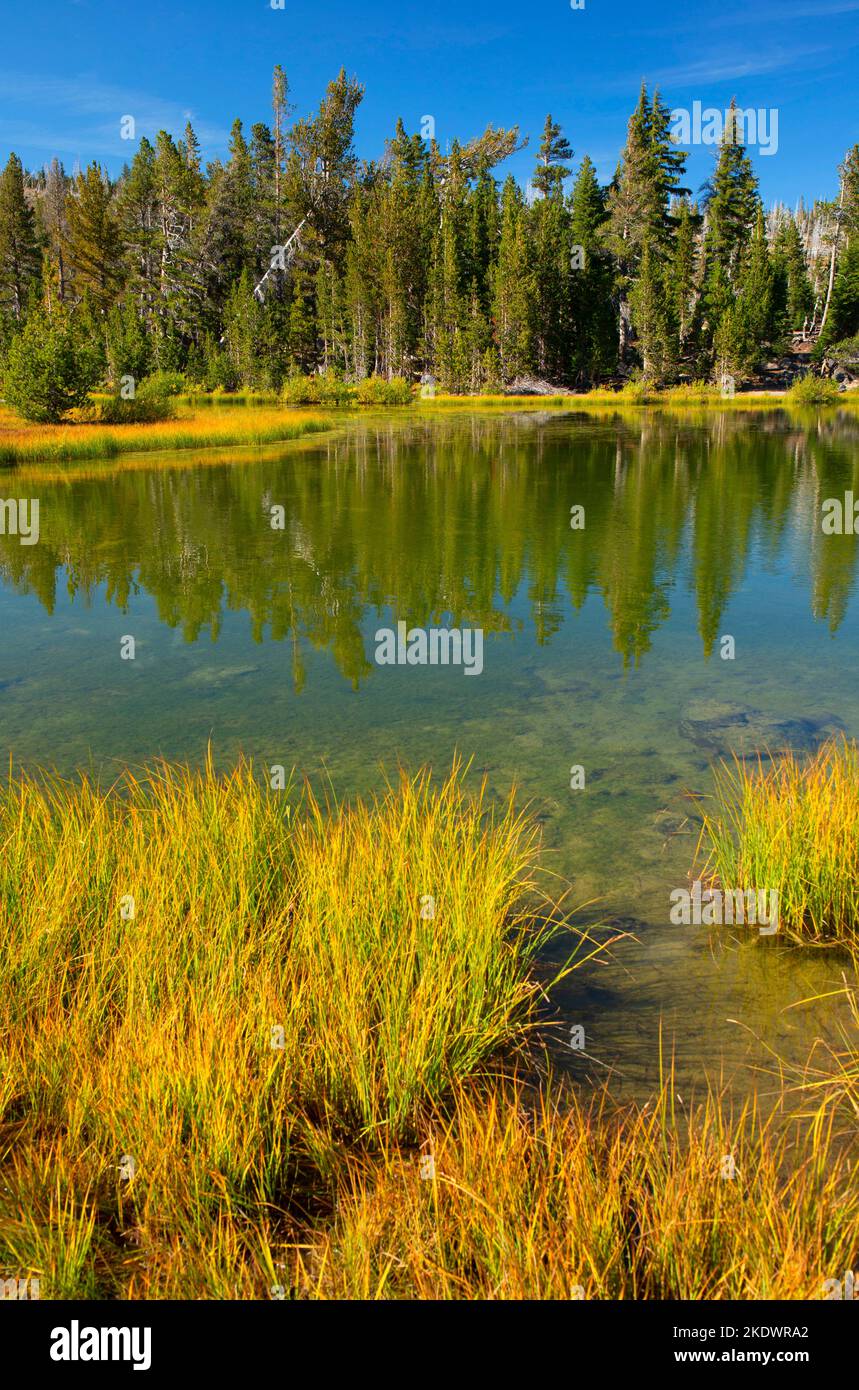 Little Three Creek Lake, Deschutes National Forest, Oregon Stock Photo