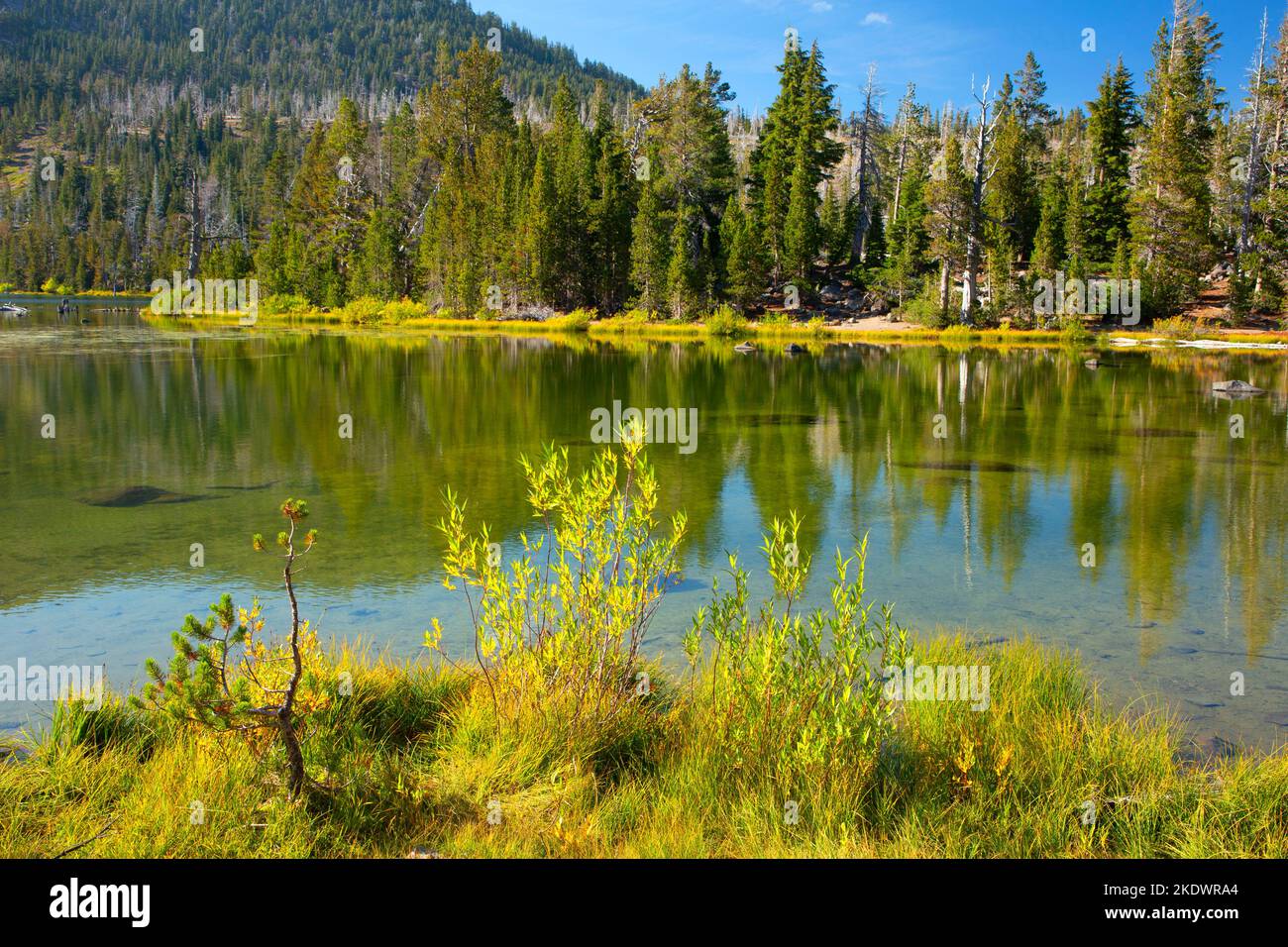 Little Three Creek Lake, Deschutes National Forest, Oregon Stock Photo