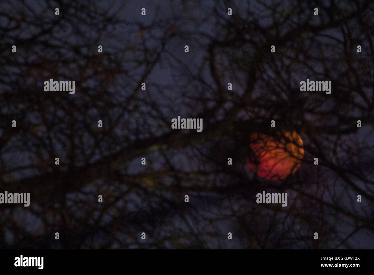 lunar-eclipse-november-8-2022-columbus-ohio-stock-photo-alamy