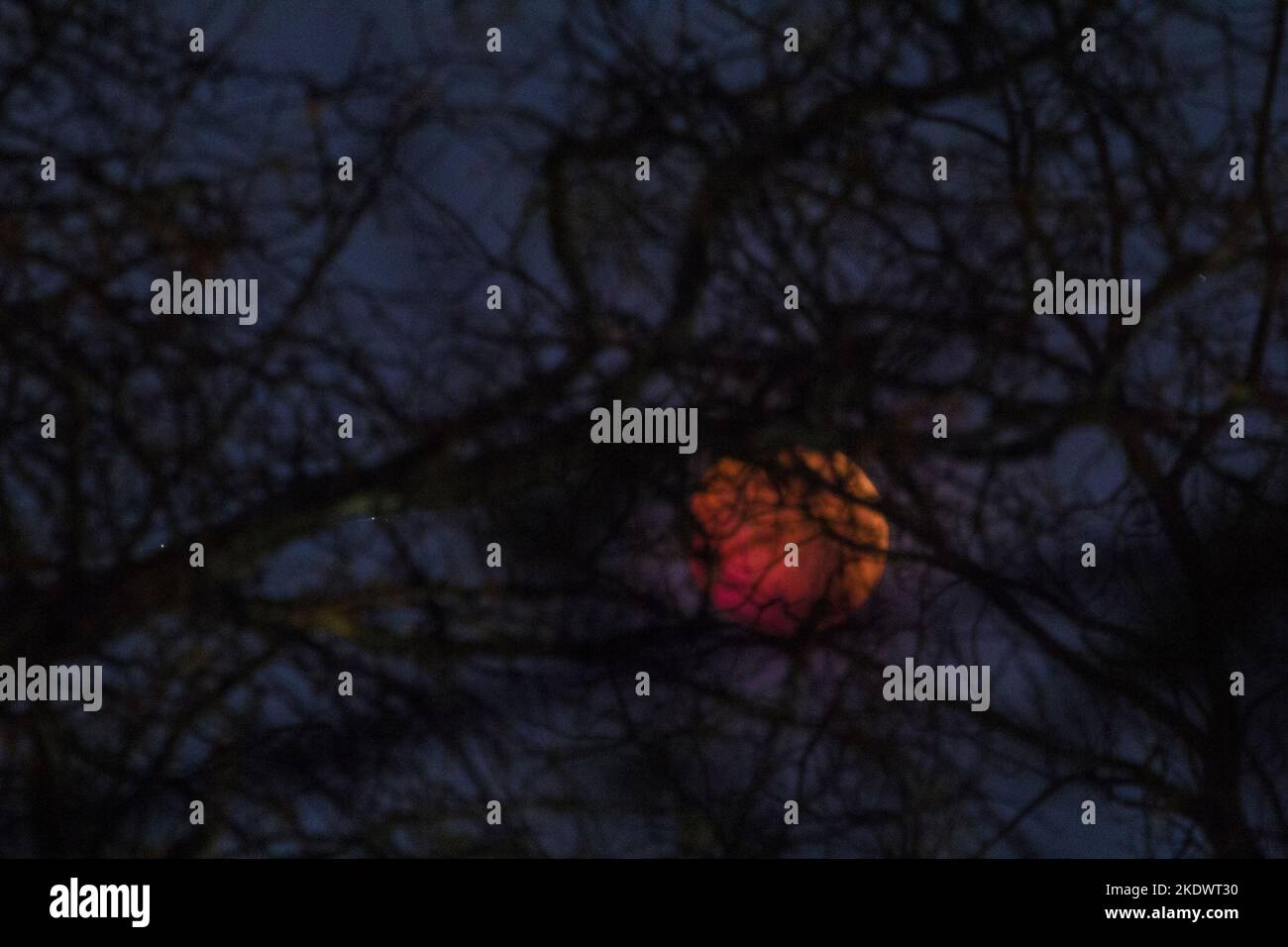 Lunar Eclipse, November 8, 2022, Columbus, Ohio Stock Photo Alamy