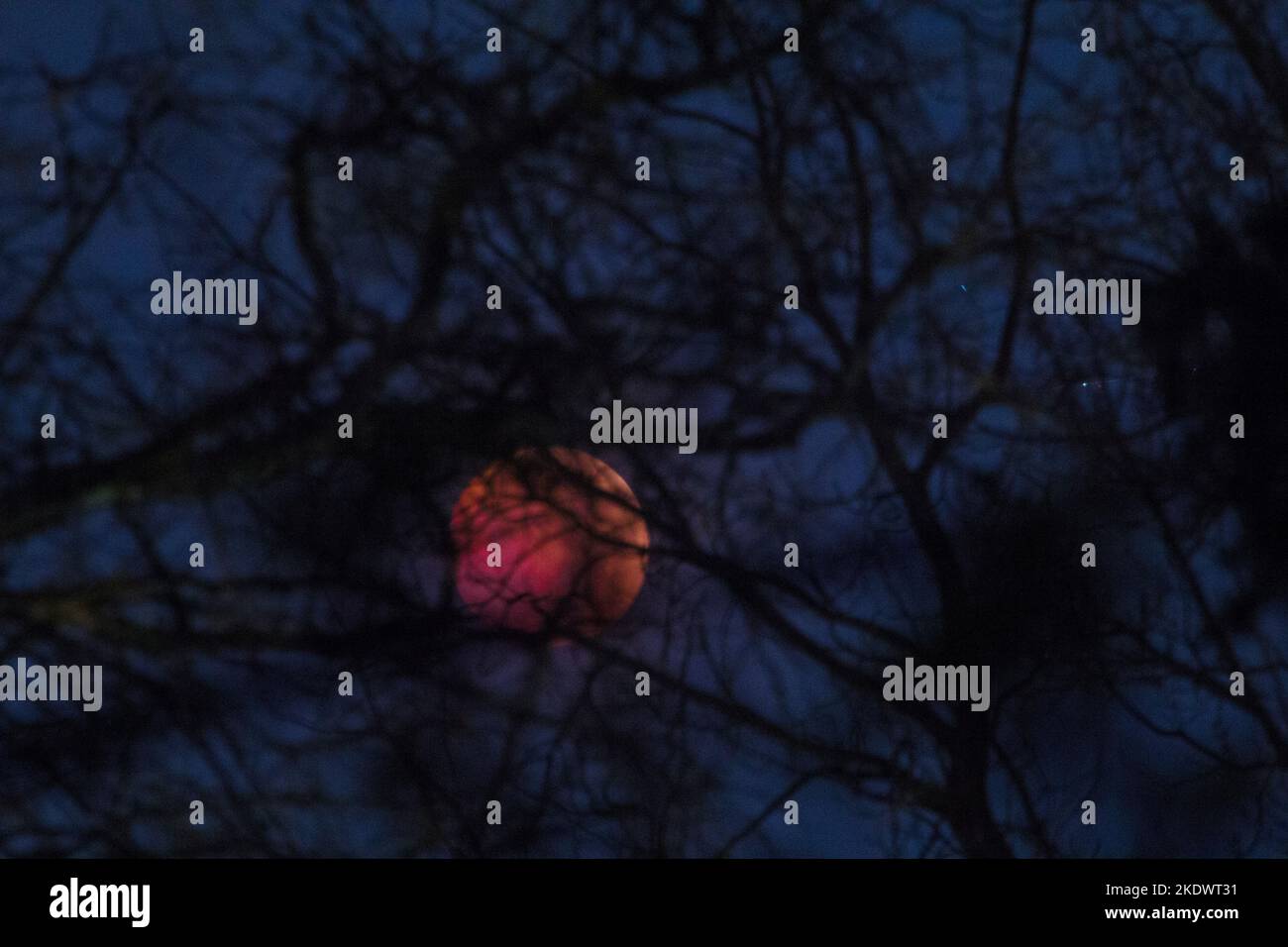 Lunar Eclipse, November 8, 2022, Columbus, Ohio Stock Photo - Alamy