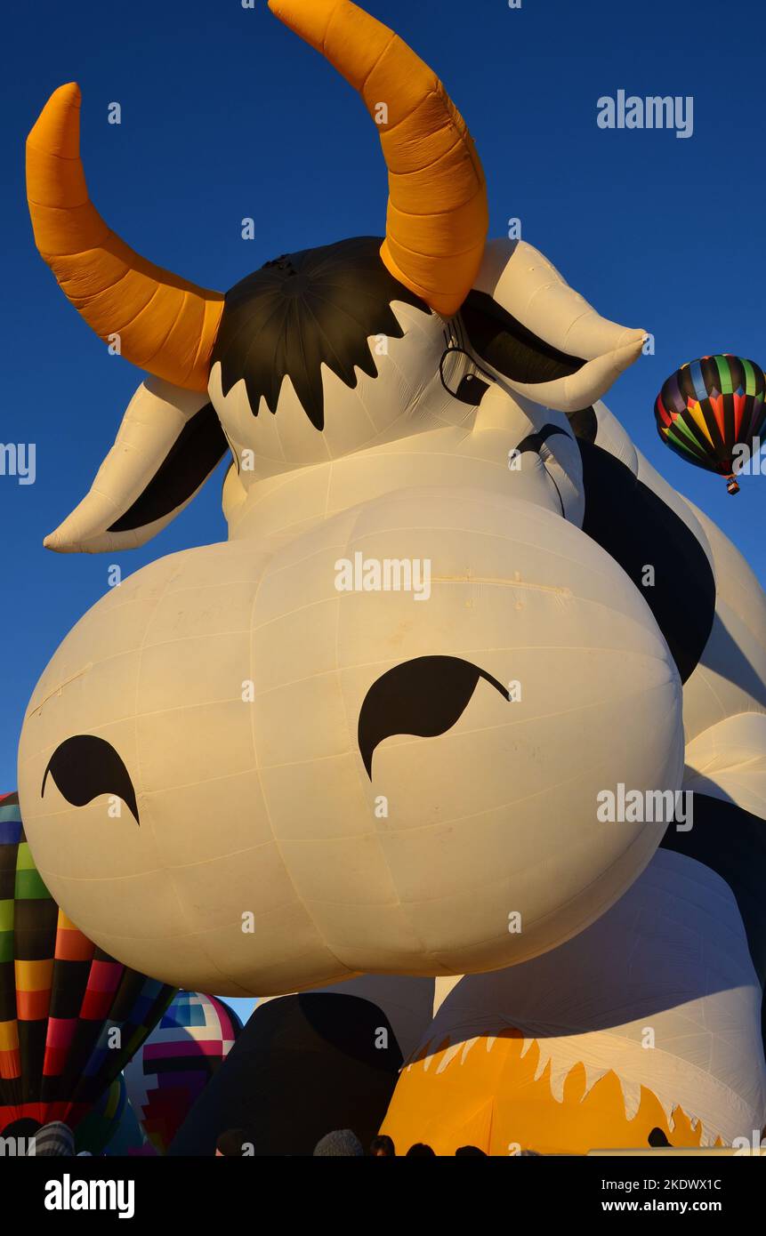 Creamland Cow Hot Air Balloon at Albuquerque international Balloon