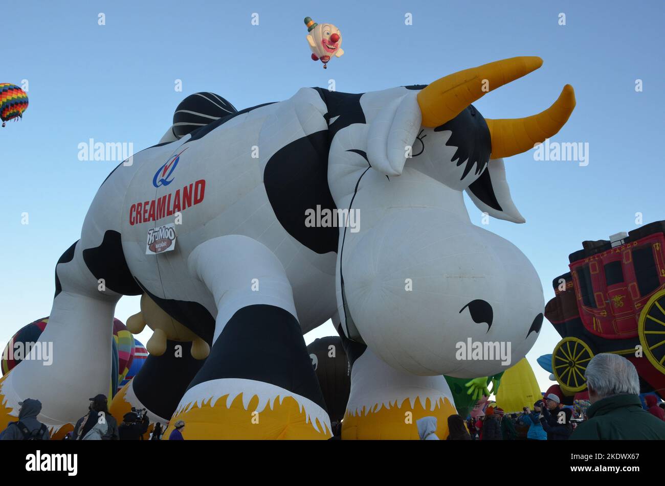Creamland Cow Hot Air Balloon at Albuquerque international Balloon