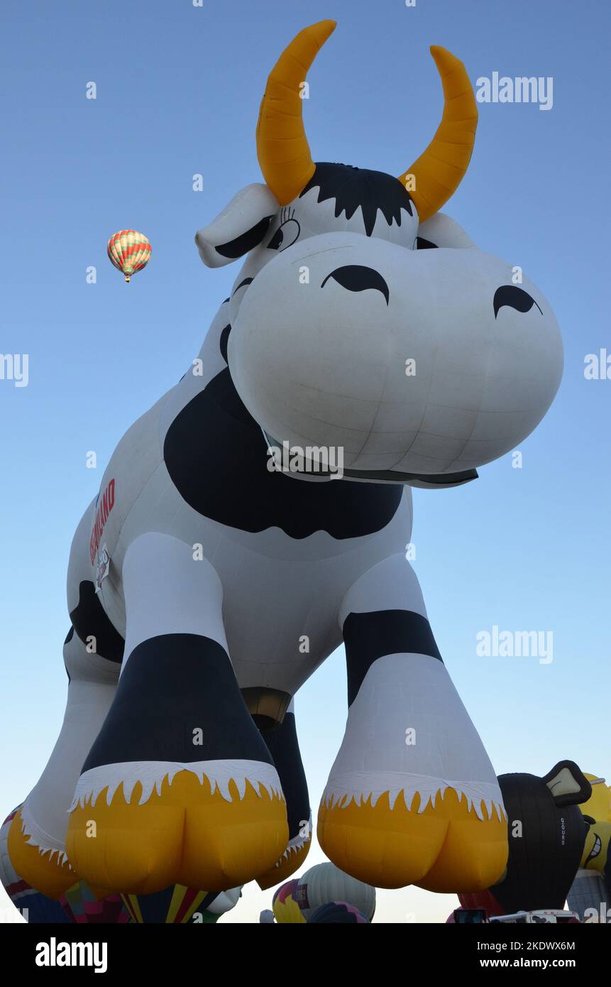 Creamland Cow Hot Air Balloon at Albuquerque international Balloon