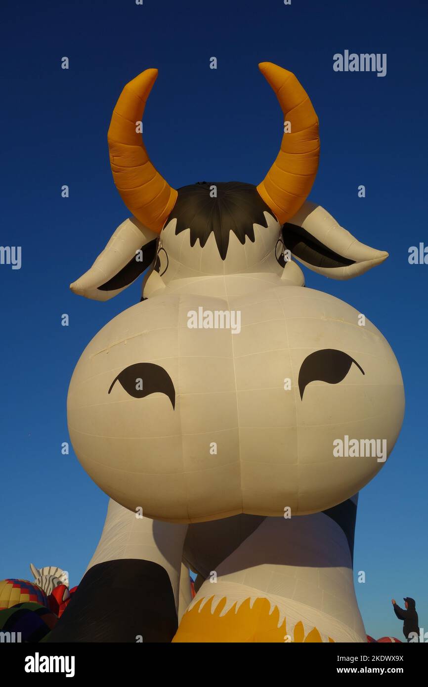 Creamland Cow Hot Air Balloon at Albuquerque international Balloon