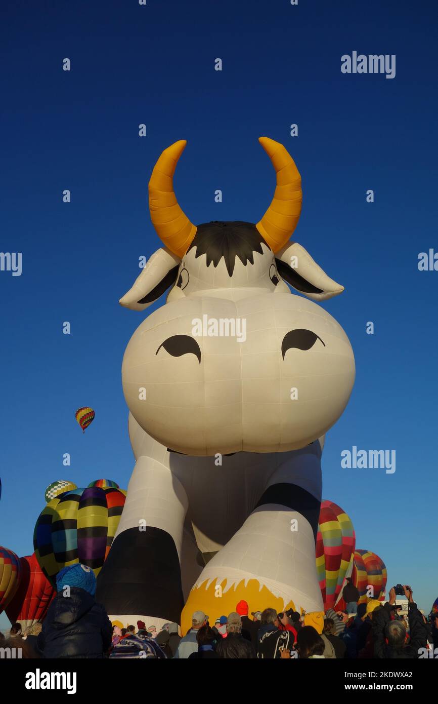 Creamland Cow Hot Air Balloon at Albuquerque international Balloon