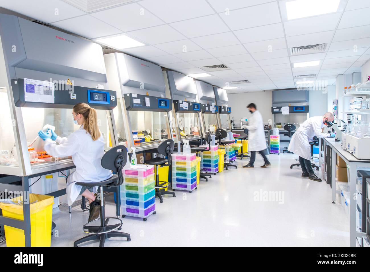 Cancer research laboratory Stock Photo