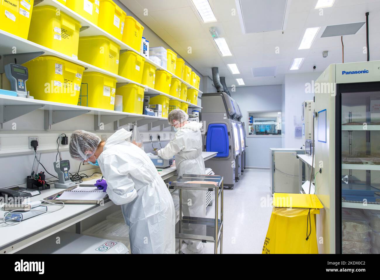 Researchers working in a cancer research laboratory Stock Photo - Alamy