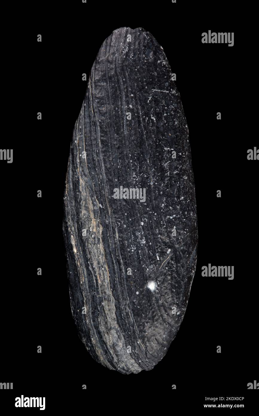 Neolithic Stone Tools Set Neolithic stone tool Stock Photo - Alamy