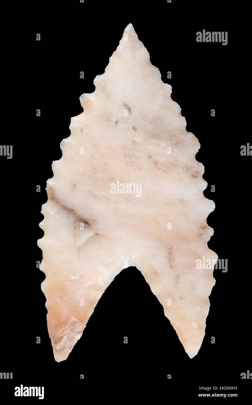 White Shell Arrow Head Neolithic winged arrow head Stock Photo - Alamy