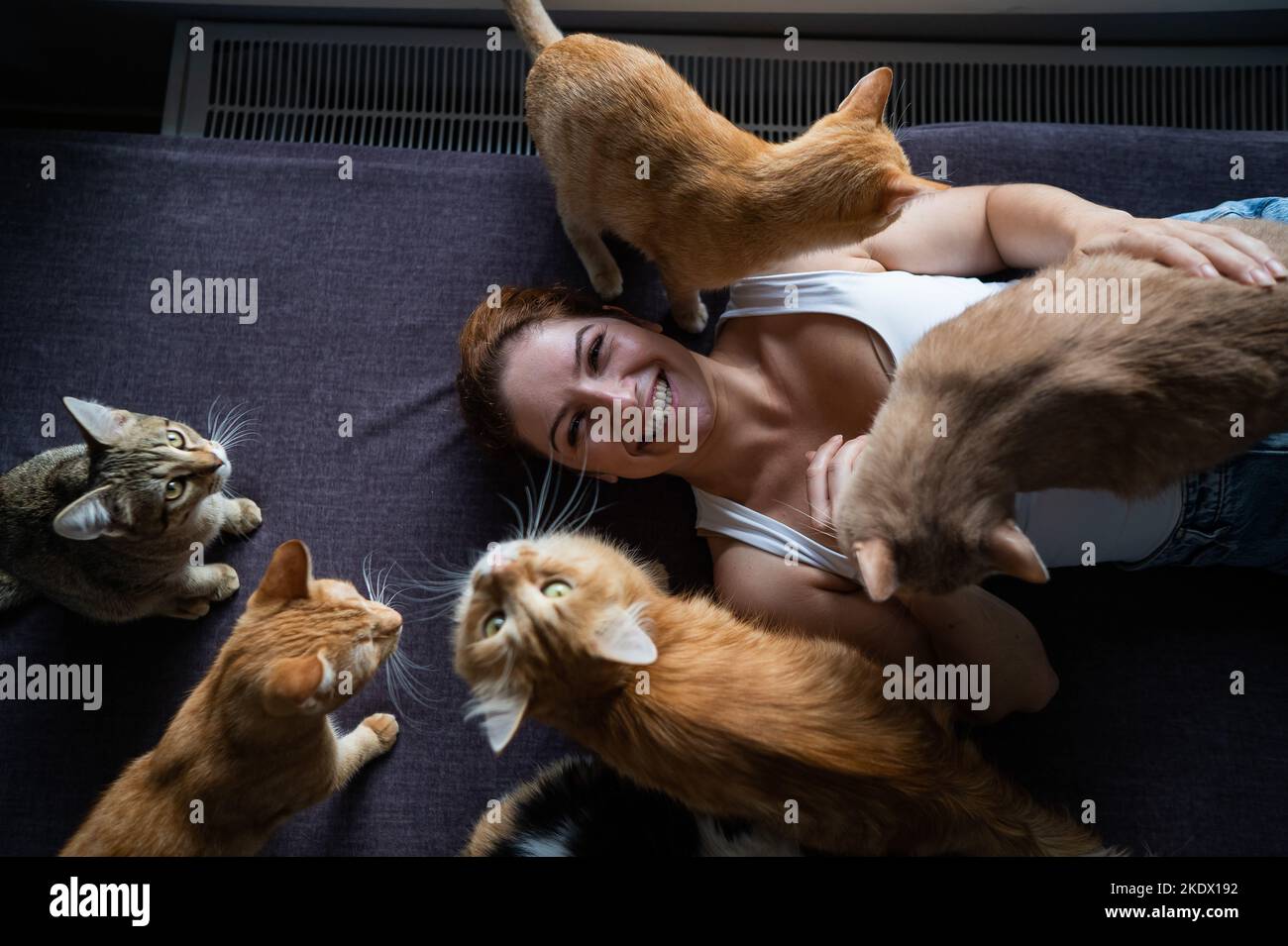 Meow meow cat cafe hi-res stock photography and images - Alamy