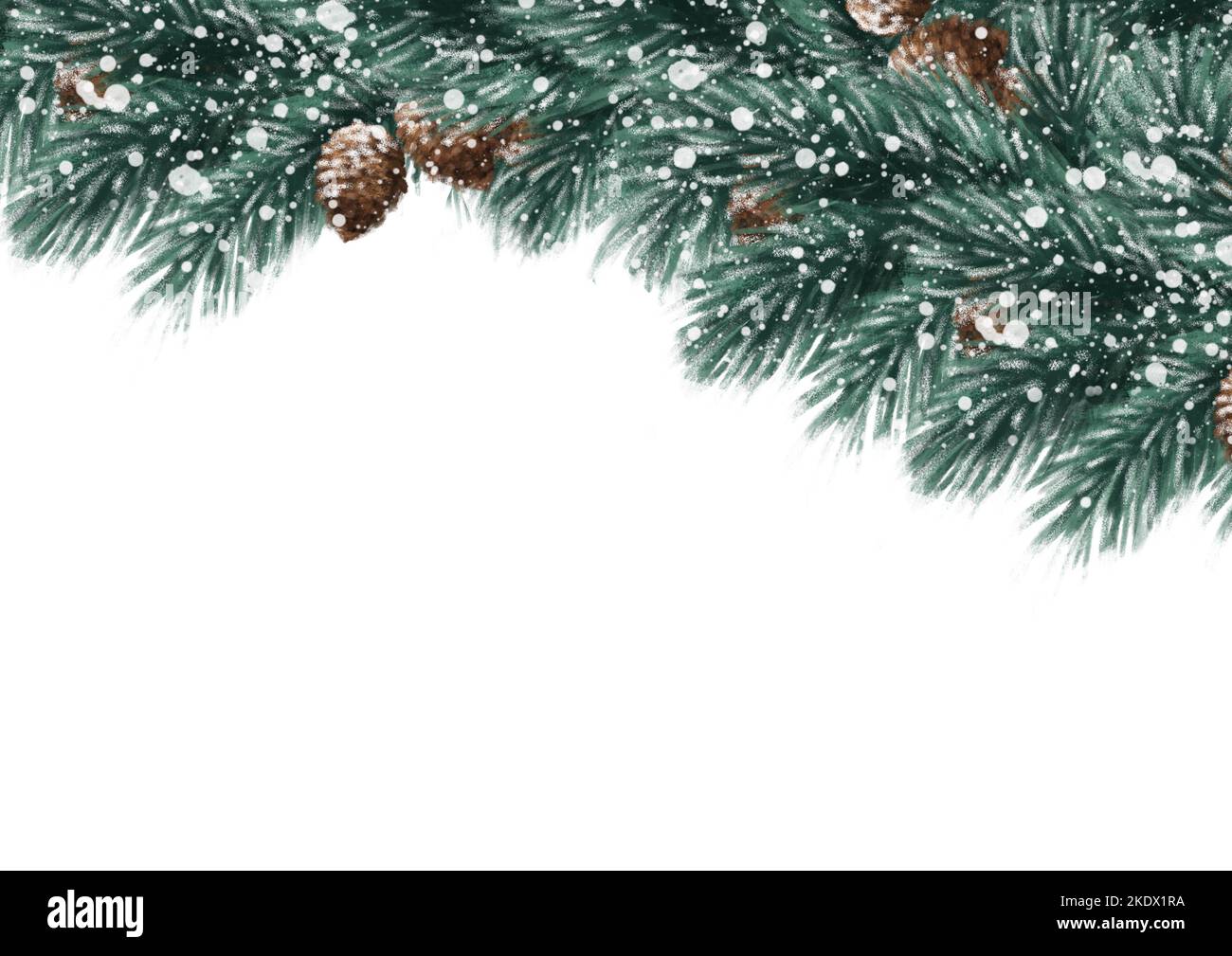 Christmas border arranged with fir branches isolated on white ...