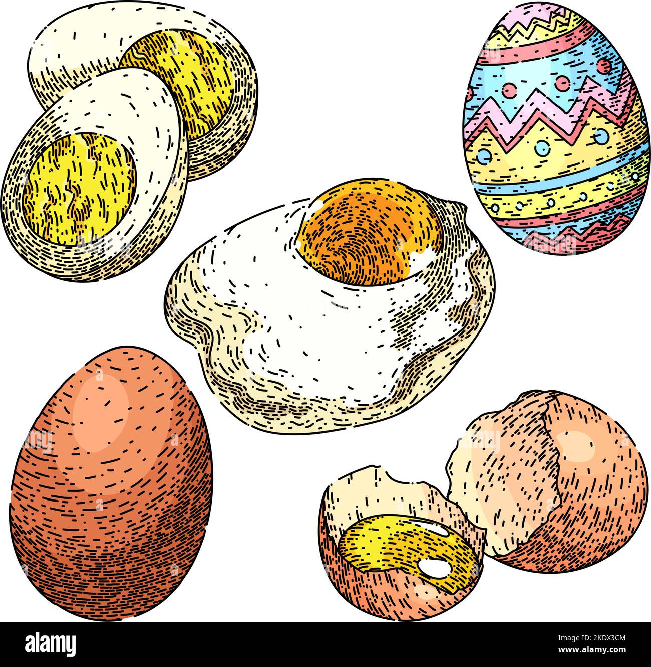 egg food chicken set sketch hand drawn vector Stock Vector Image & Art Alamy