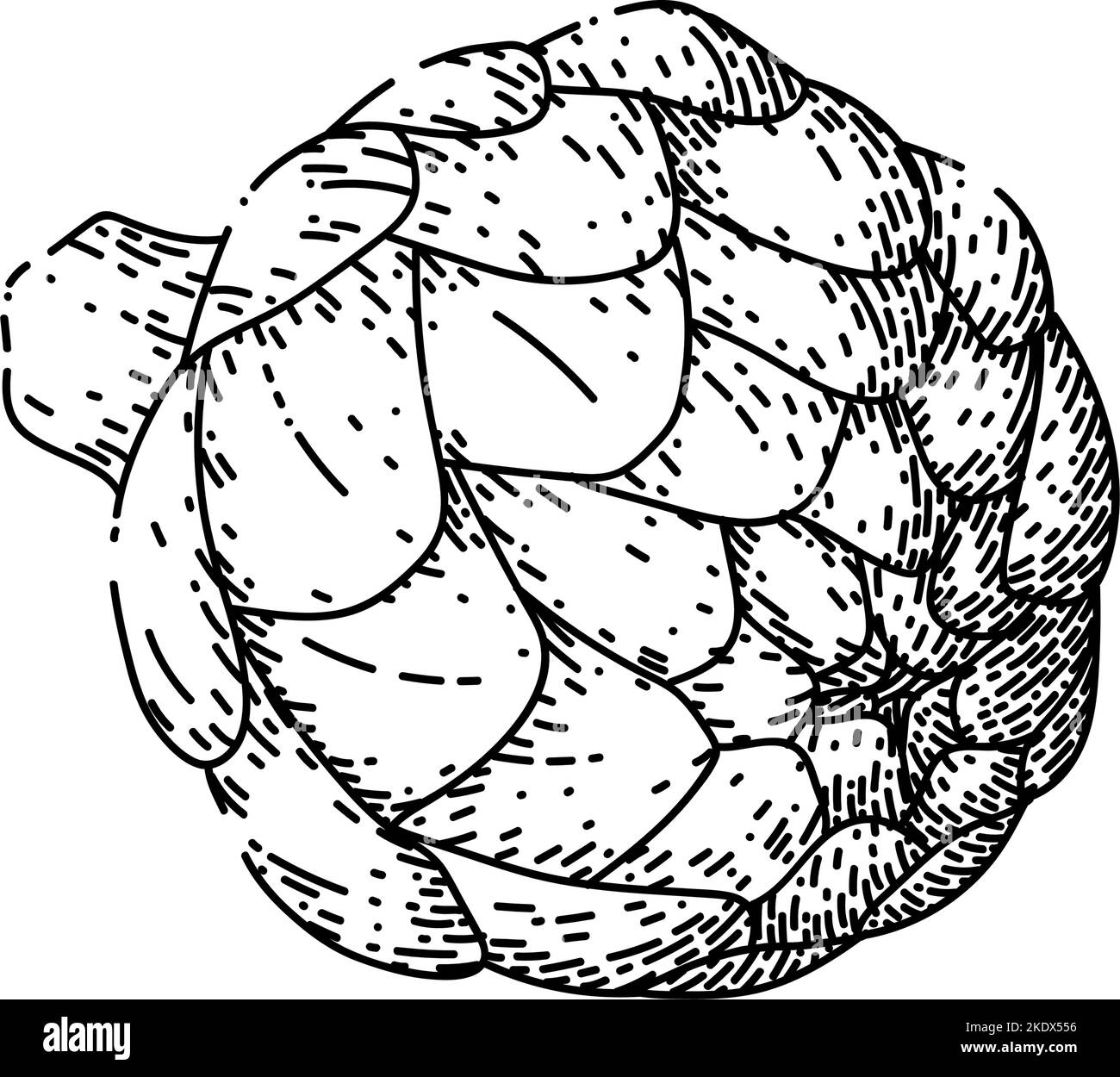 artichoke fresh sketch hand drawn vector Stock Vector Image & Art Alamy