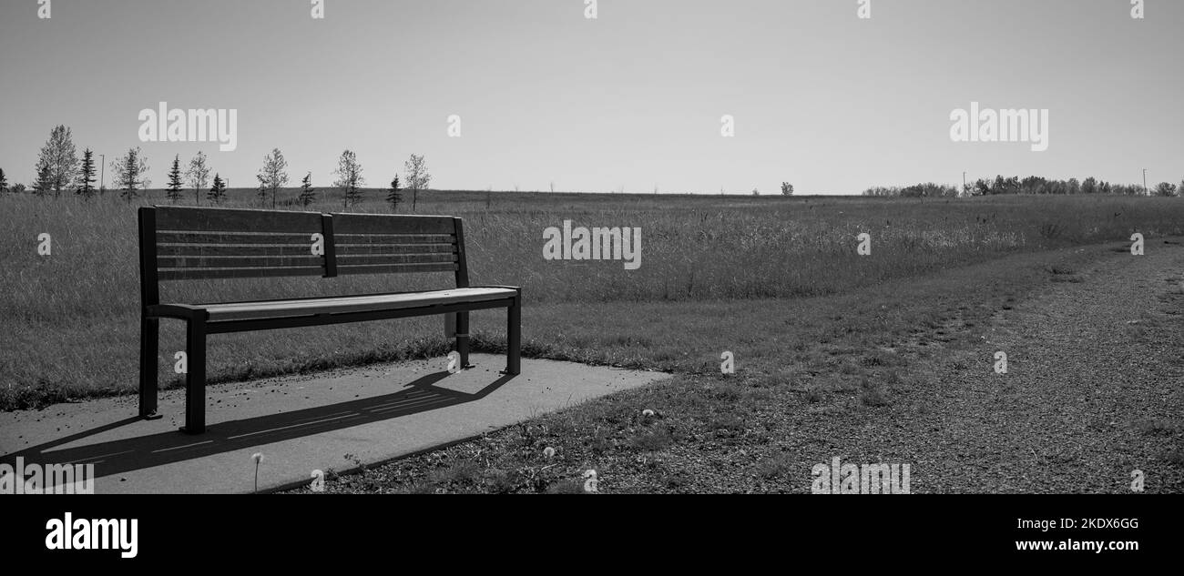 Black and white perspective of a lonely bench in the prairies Stock Photo