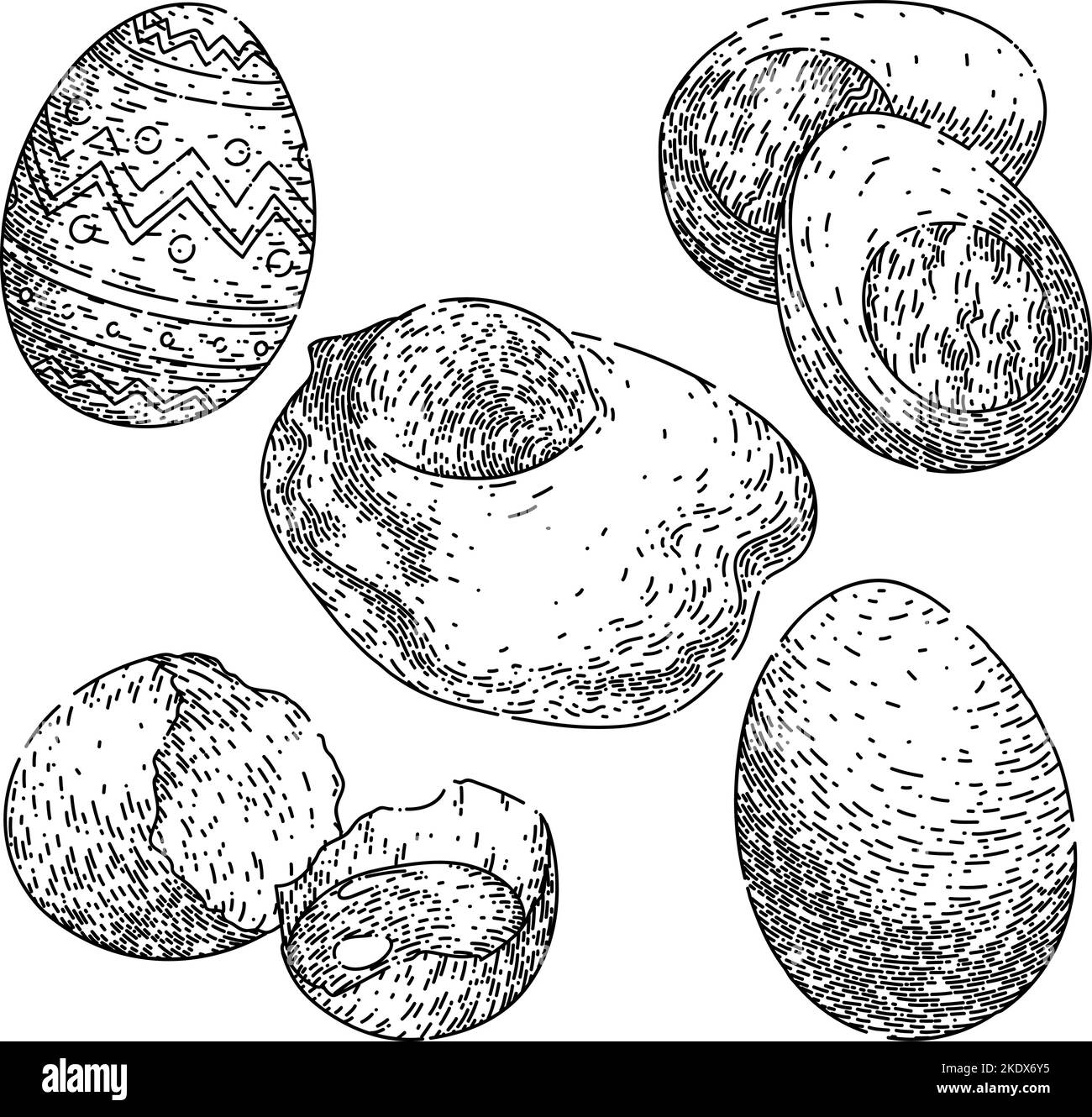 egg food chicken set sketch hand drawn vector Stock Vector Image & Art Alamy