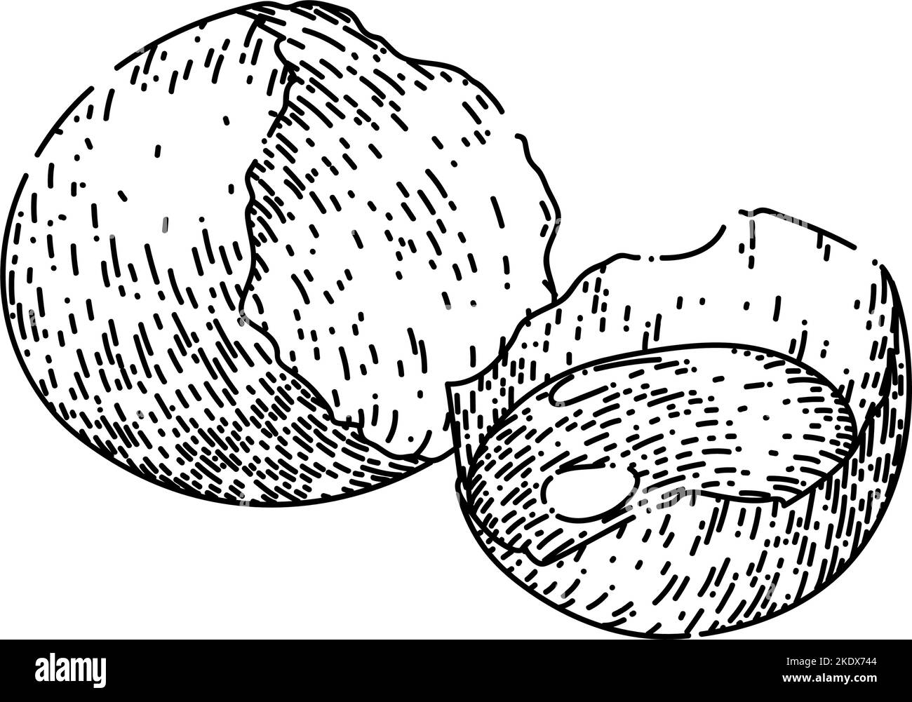 half-broken-egg-sketch-hand-drawn-vector-stock-vector-image-art-alamy