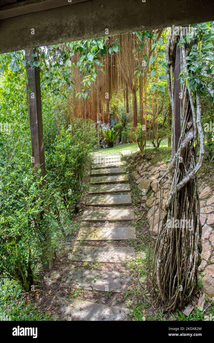 greenery garden walk path way to the park Stock Photo