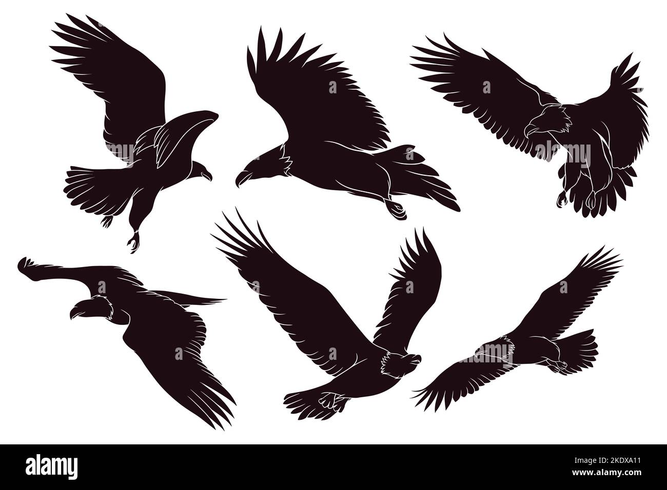 Hand drawn silhouette of eagle Stock Vector Image & Art - Alamy