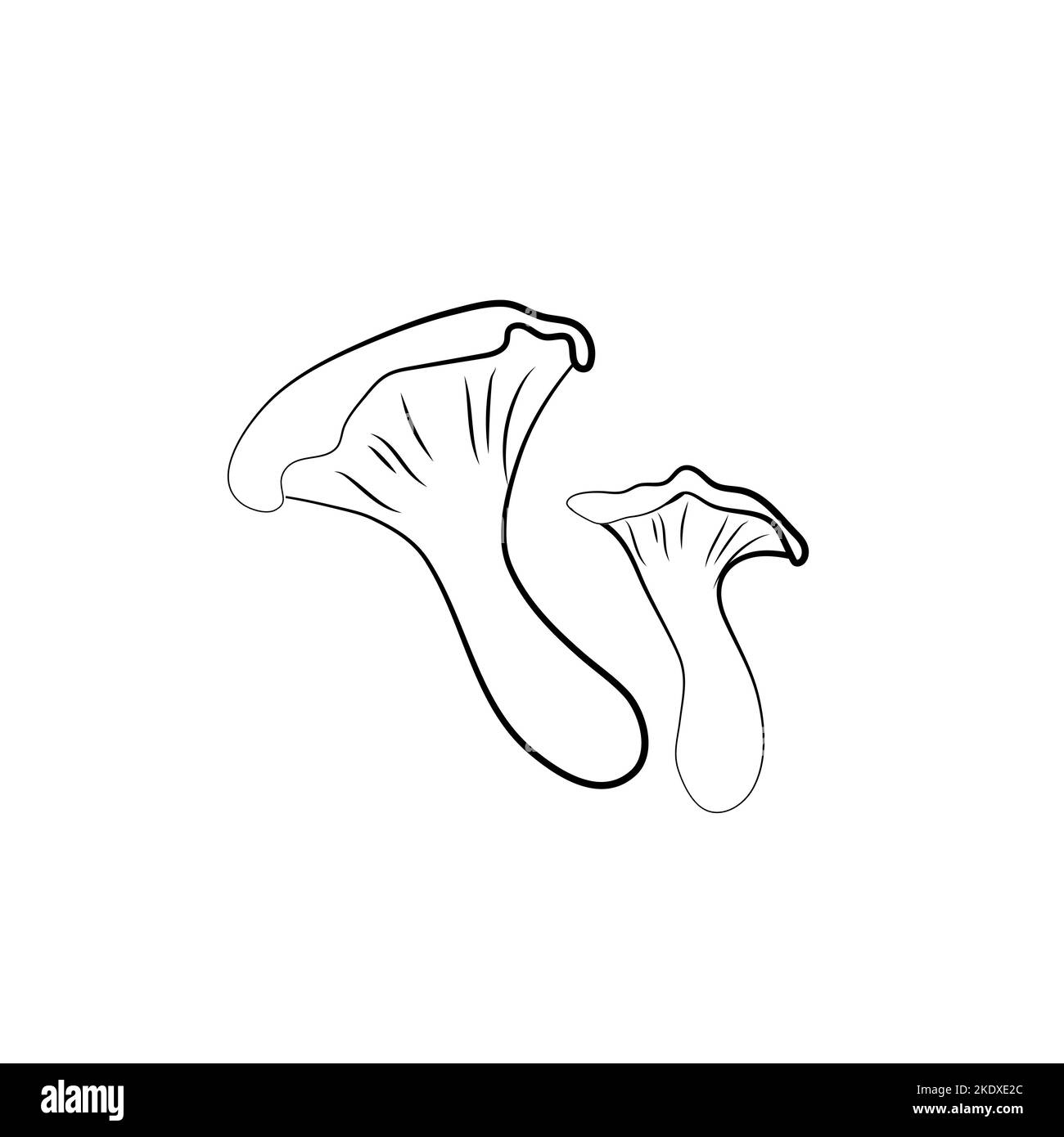 Chanterelles icon. Mushroom sign. Vector cartoon hand drawn illustration Stock Vector Image