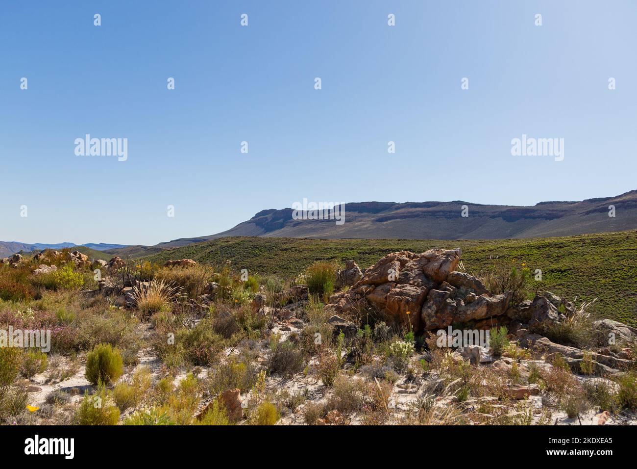 Nature scene in south africa hi-res stock photography and images - Alamy