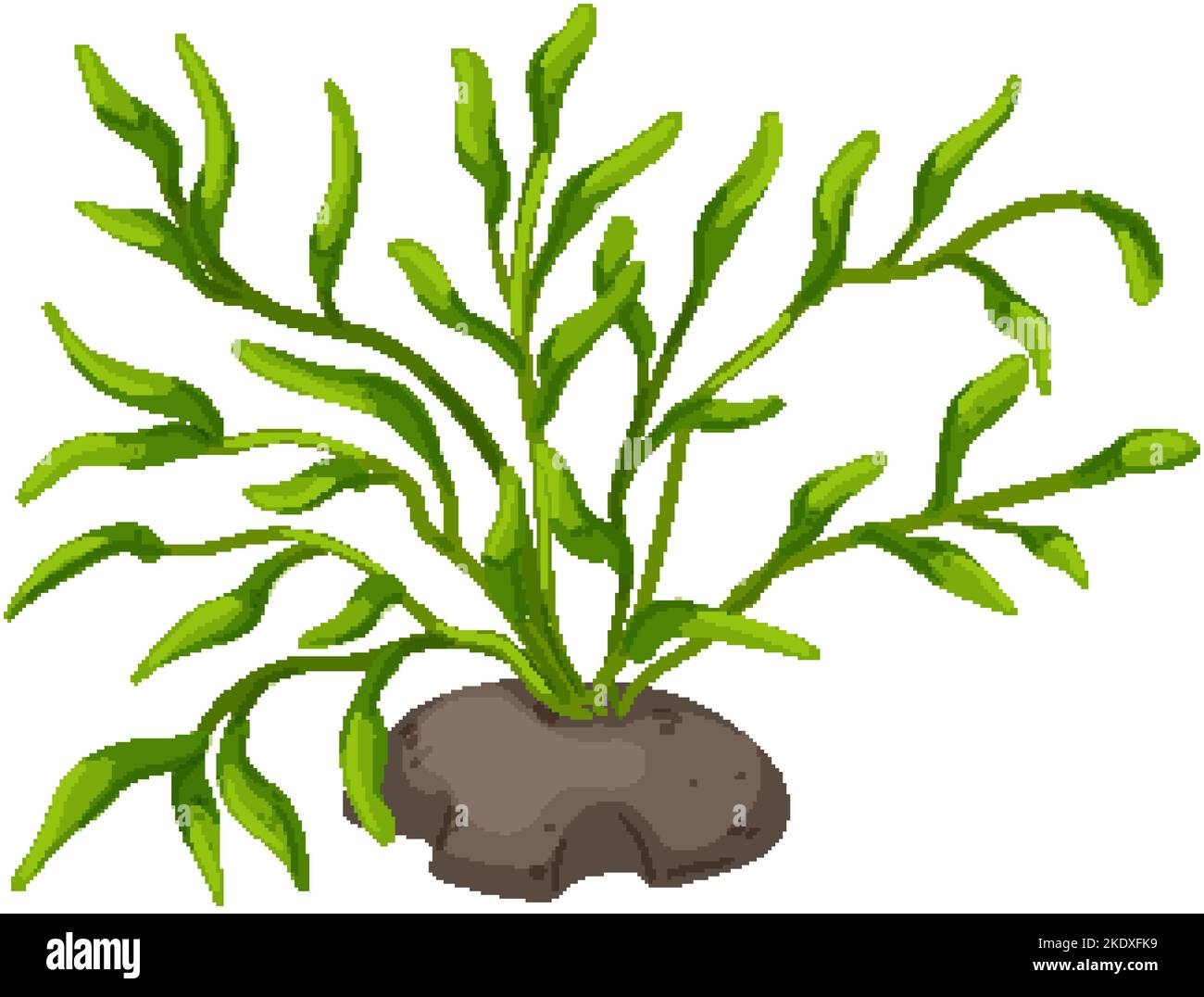 fish aquarium plant cartoon vector illustration Stock Vector Image & Art Alamy