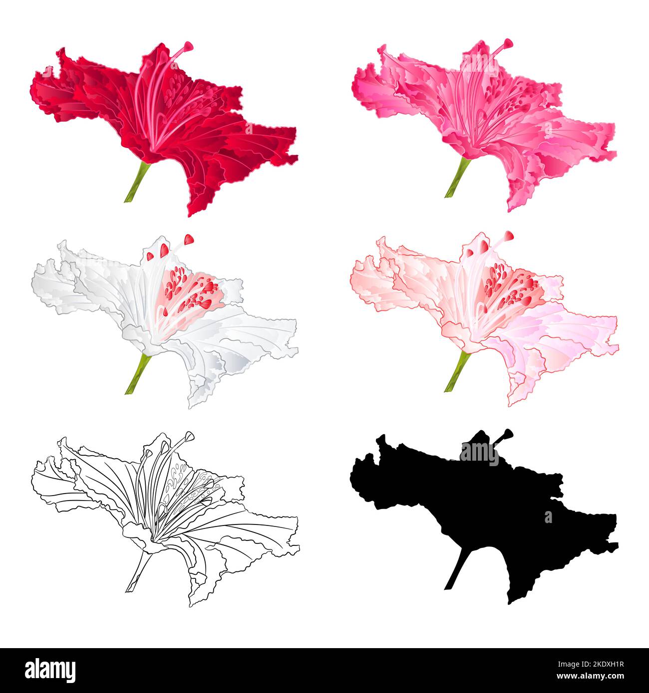 Shub Vector Flower rhododendron mountain shrub red,pink, light pink, white ...