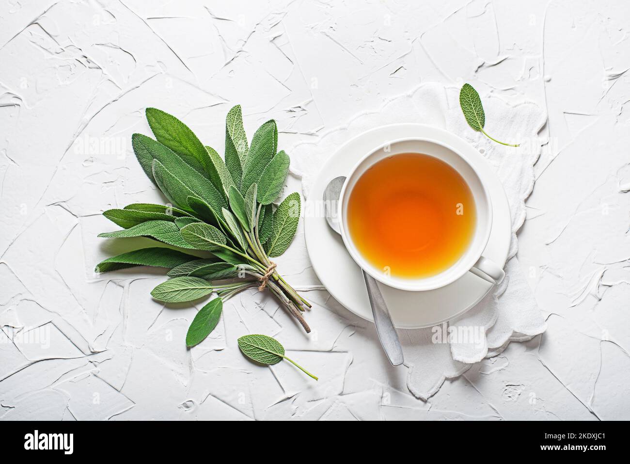 Sage tea in white cup and sage leaves on white table close up Stock Photo