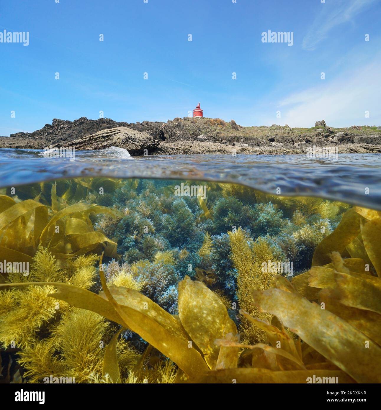 Rocky coast with a lighthouse and algae underwater, split level view over and under water surface, Atlantic ocean, Spain, Galicia, Rias Baixas Stock Photo