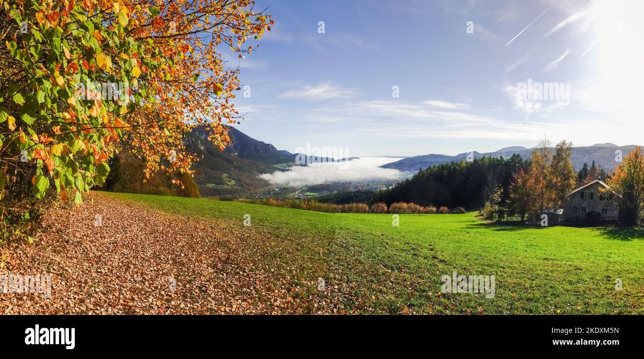 amazing dense white fog in a valley with colorful landscape in autumn panorama view Stock Photo