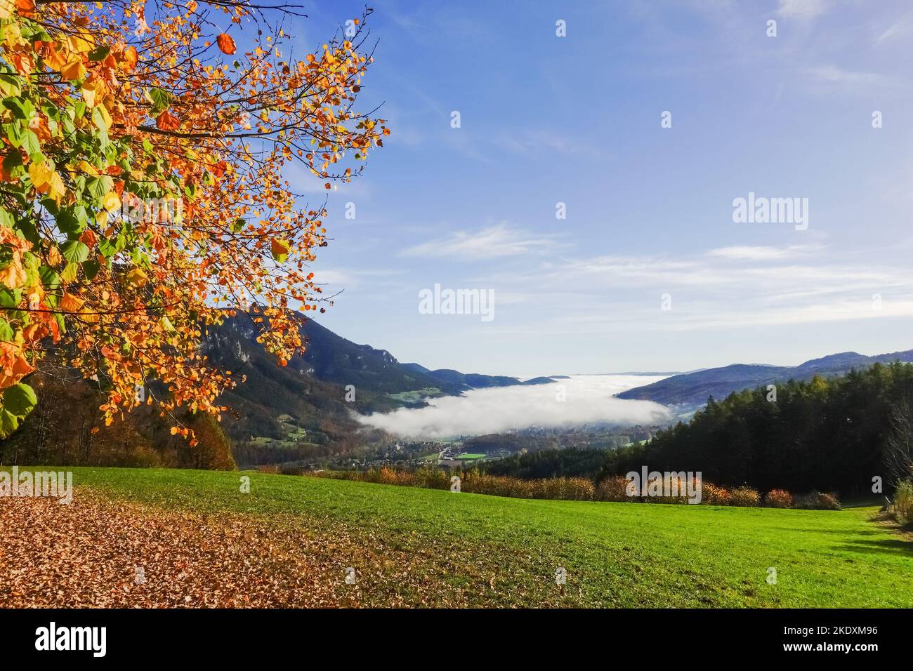 amazing dense white fog in a valley with colorful landscape in autumn Stock Photo