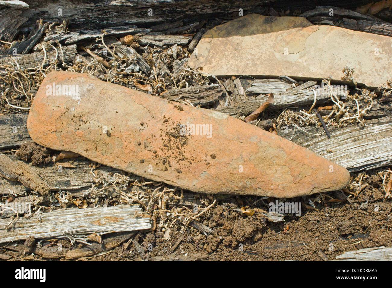 Antique and historic stone tools dug up in South Africa, used for digging for food Stock Photo