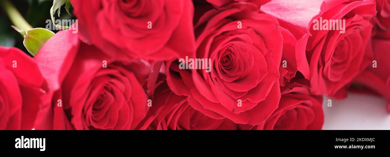 Luxury bouquet made of red roses, flower shop Stock Photo Alamy