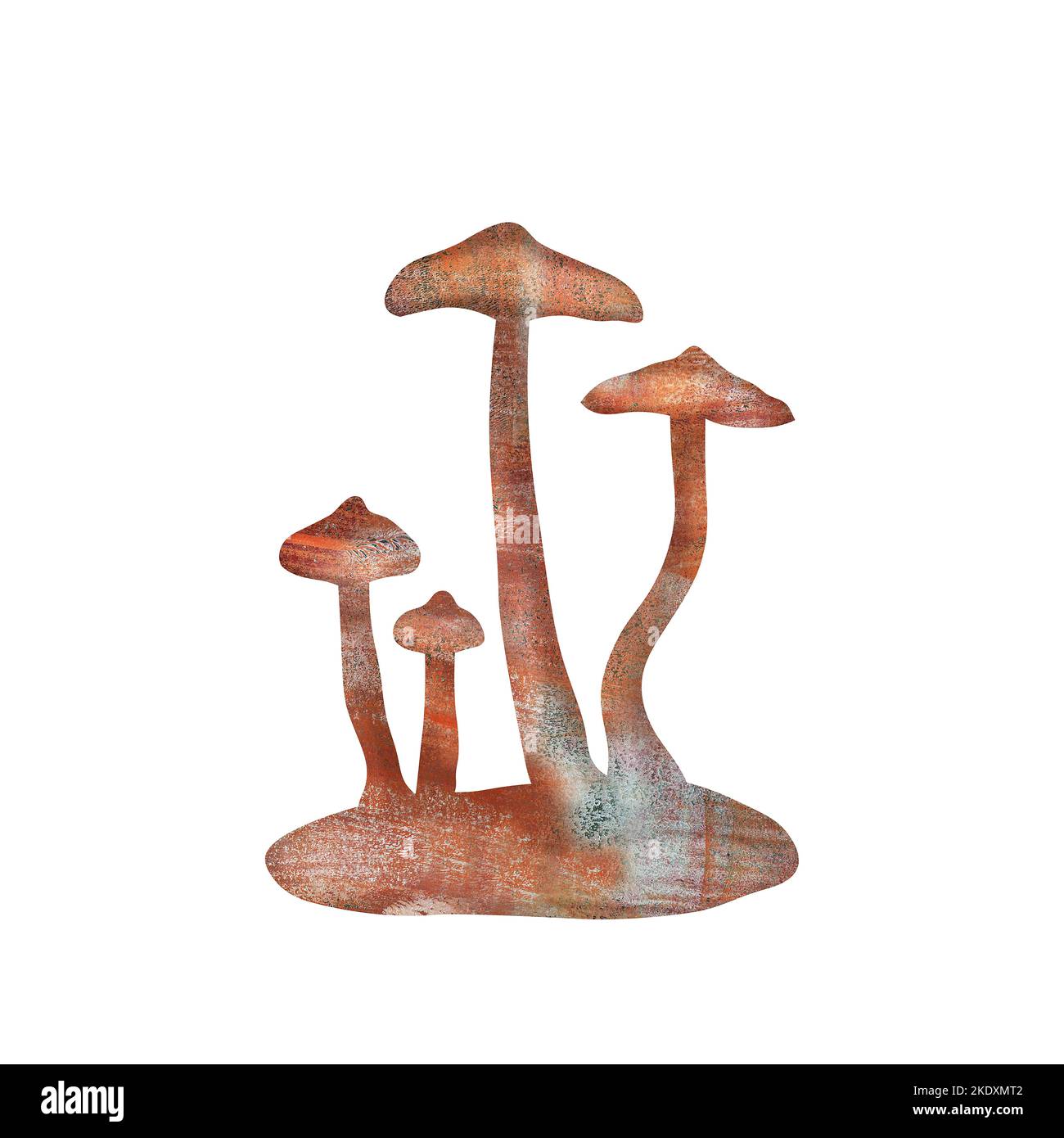 Illustration of Deadly webcap, a poisonous Cortinarius mushroom Stock Photo