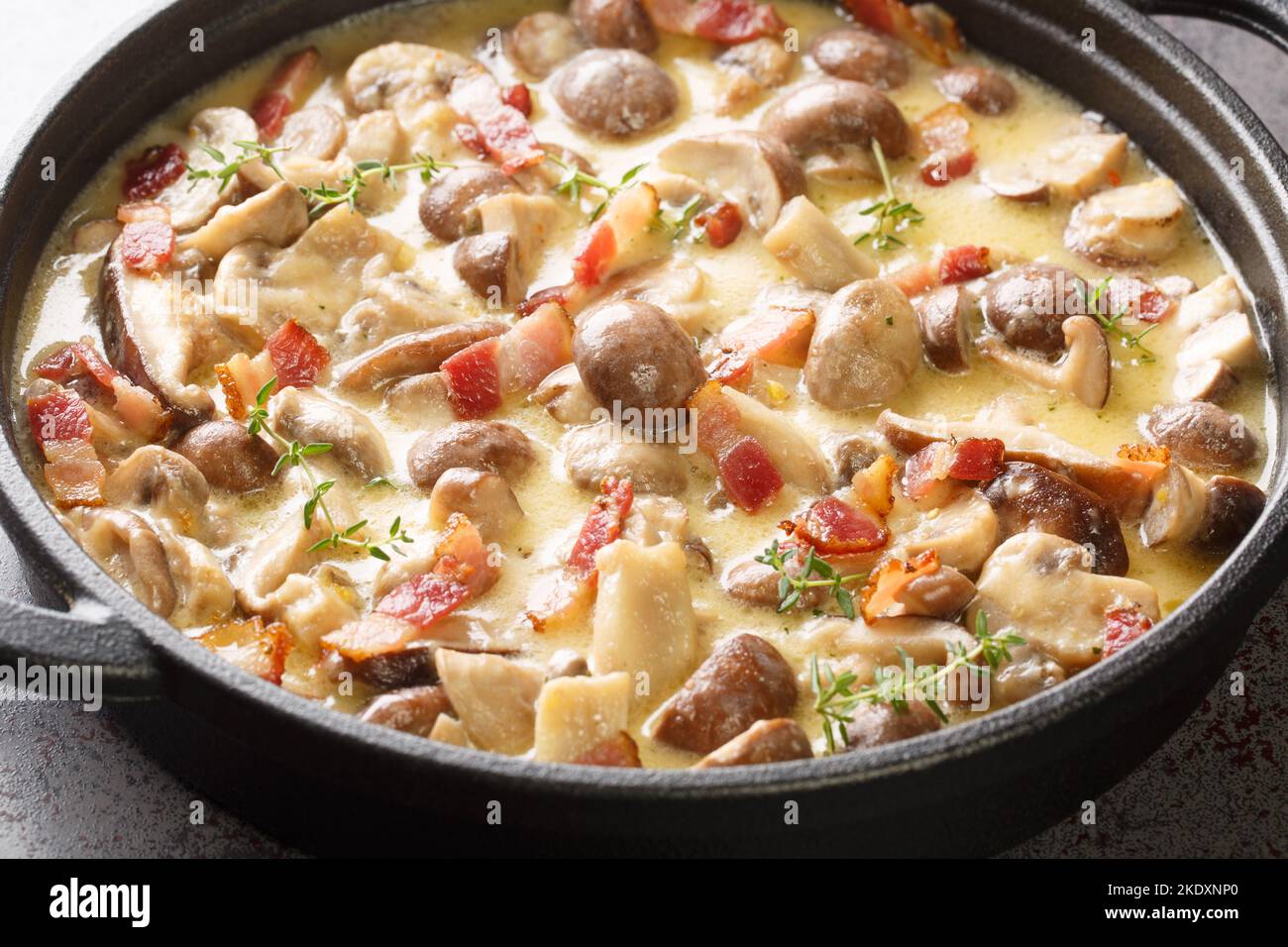 Stewed Champignon mushrooms in a spicy creamy wine sauce with bacon and ... Stewed Champignon mushrooms in a spicy creamy wine sauce with bacon and ...
