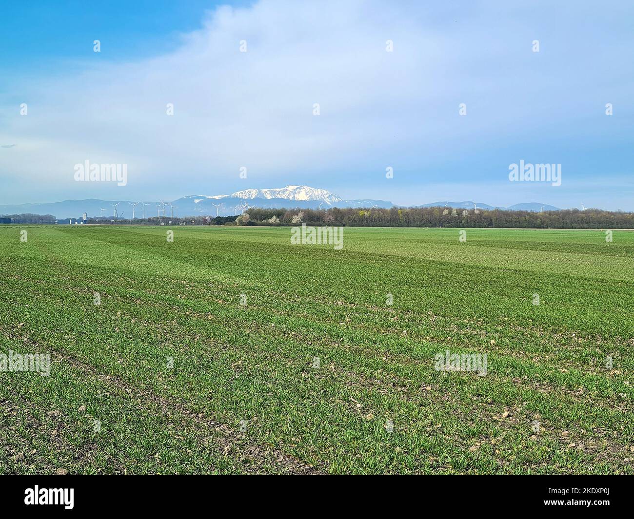 Austria, agricultural landscape with snow covered mountain and wind turbines in Lower Austria Stock Photo