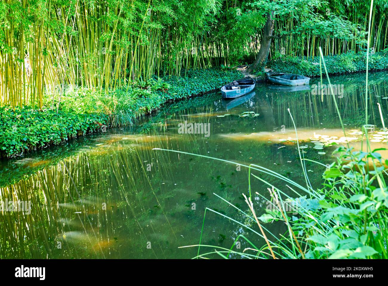 Giverny Normandy France. The house of Monet. Water lilies in Claude Monet's garden Stock Photo