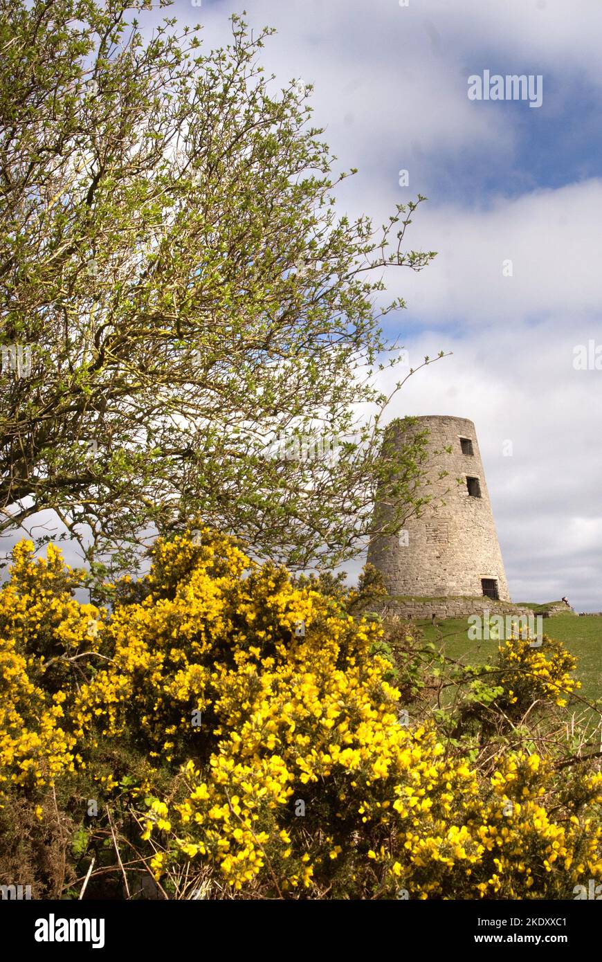 Cleadon Mill, South Tyneside Stock Photo - Alamy