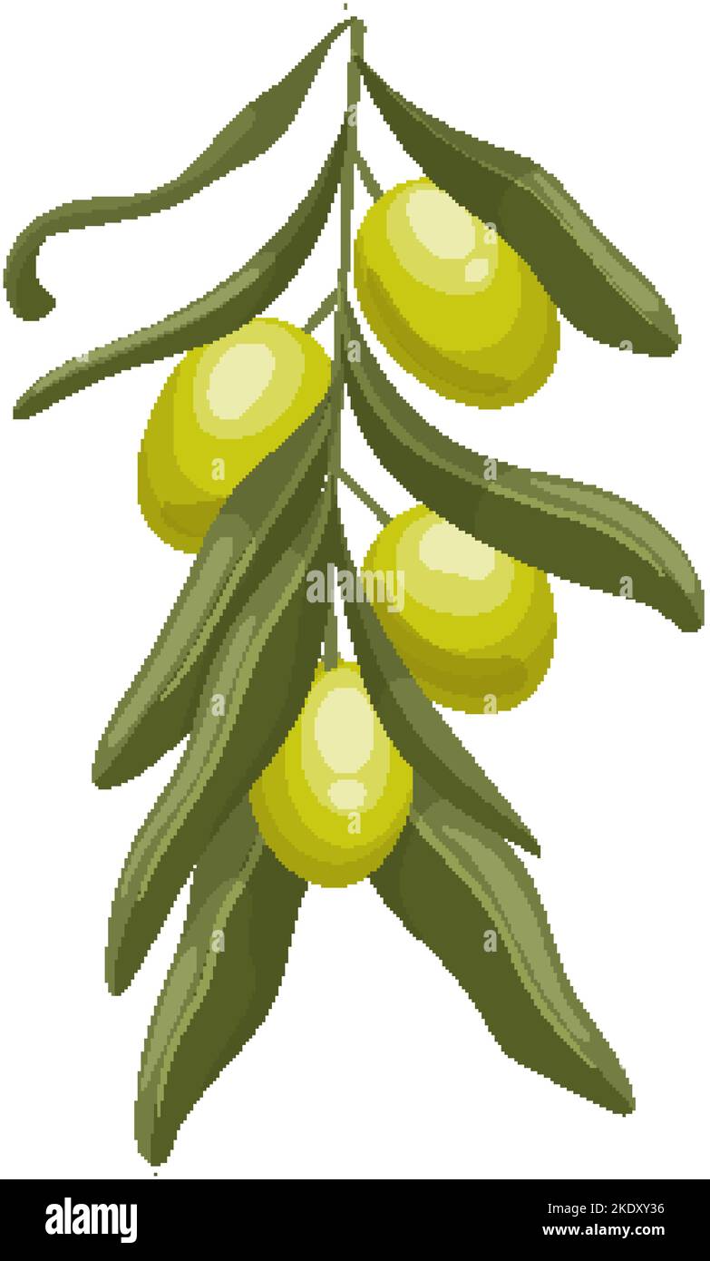 olive green cartoon vector illustration Stock Vector Image & Art Alamy