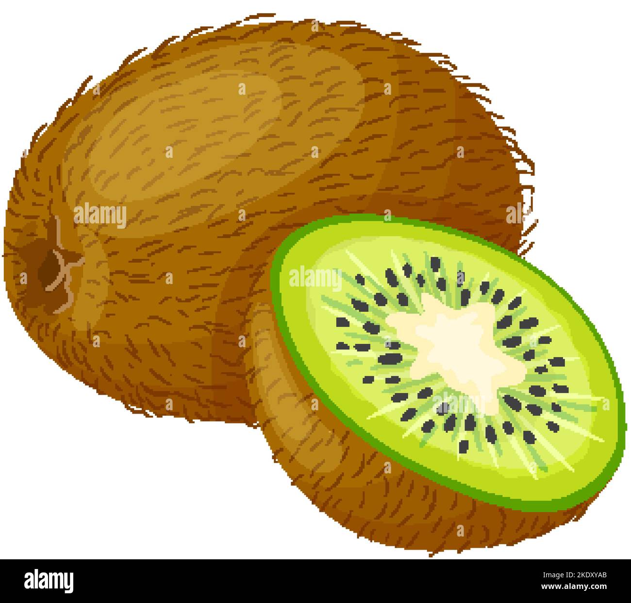 kiwi cut fruit cartoon vector illustration Stock Vector Image & Art Alamy
