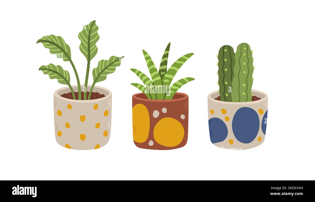 Flowers pot set. Organic flat houseplant collection. Set of house