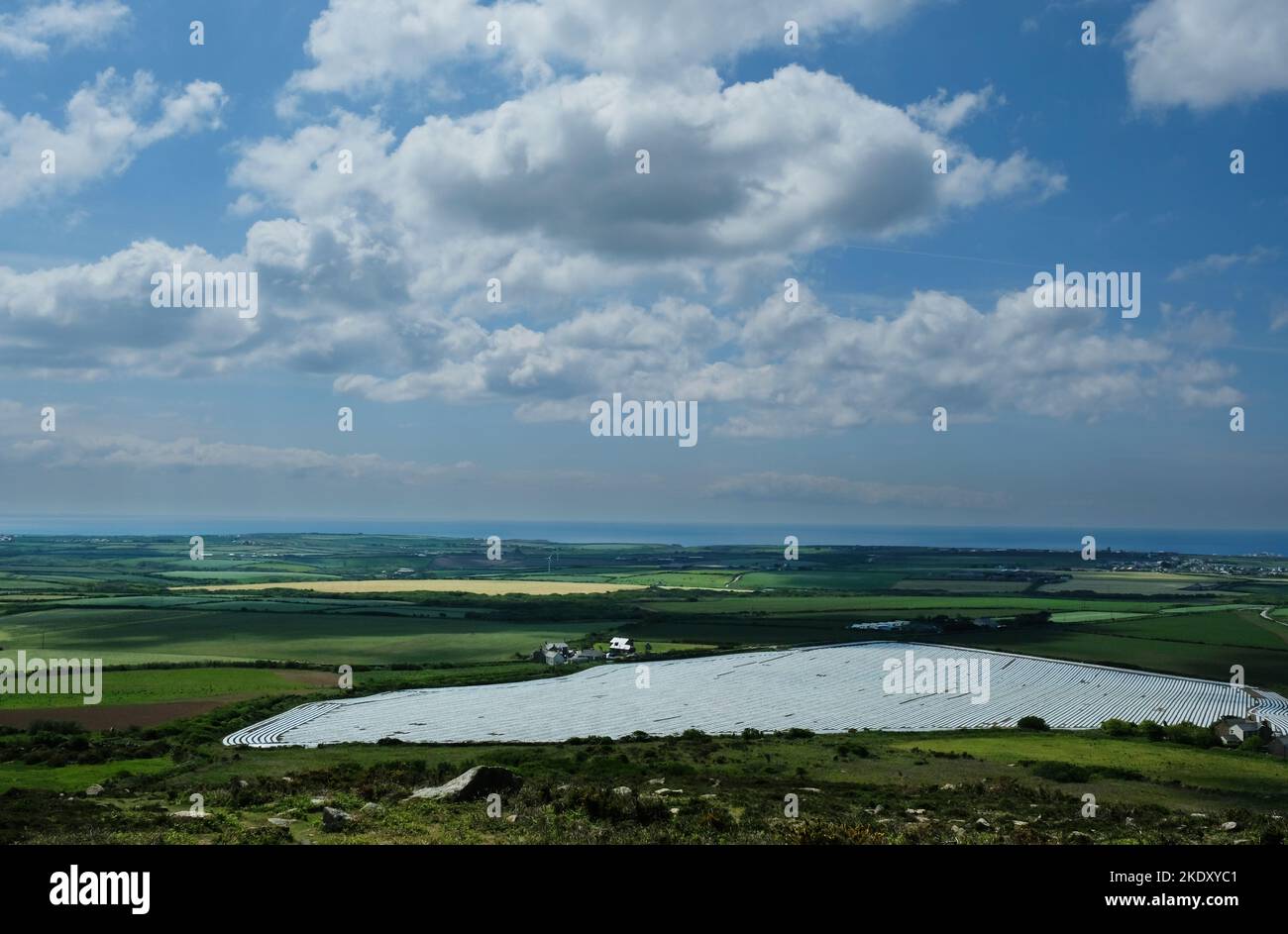 Field covered with a plastic membrane to protect potato plants from