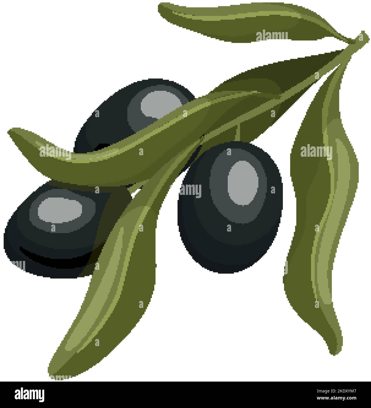 olive black cartoon vector illustration Stock Vector Image & Art Alamy