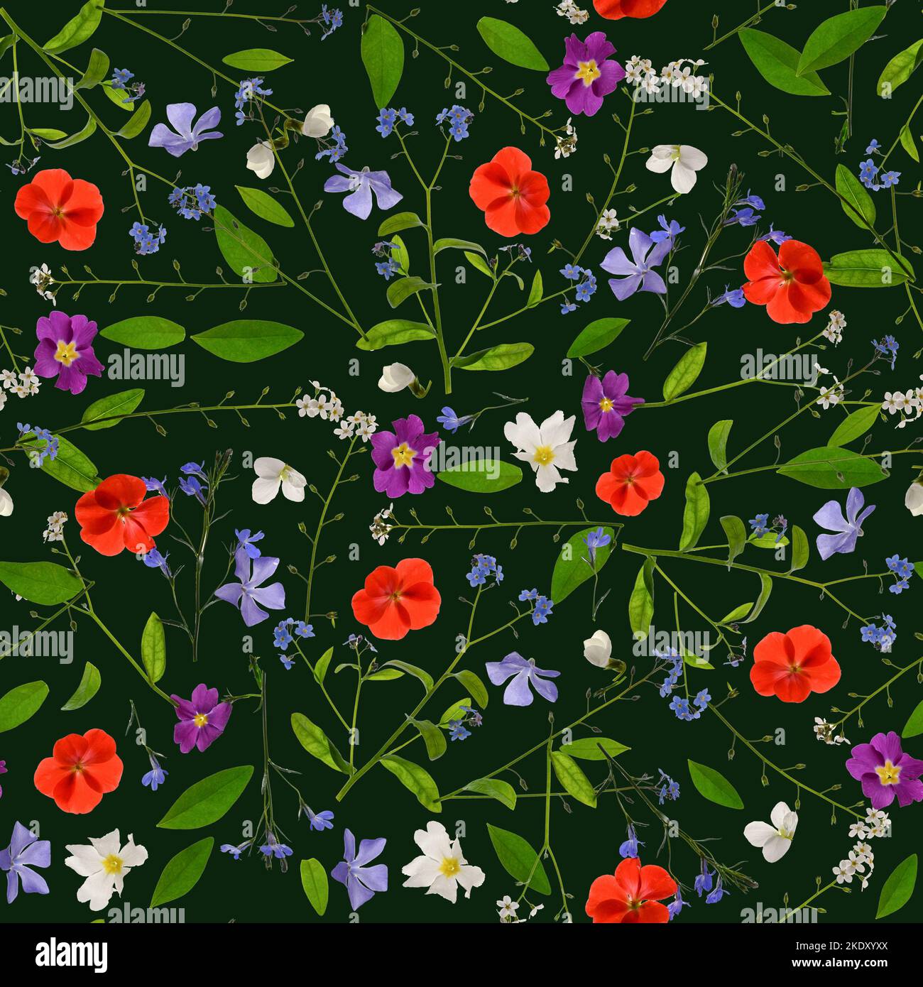 Spring flowers pattern on dark green background. Stock Photo