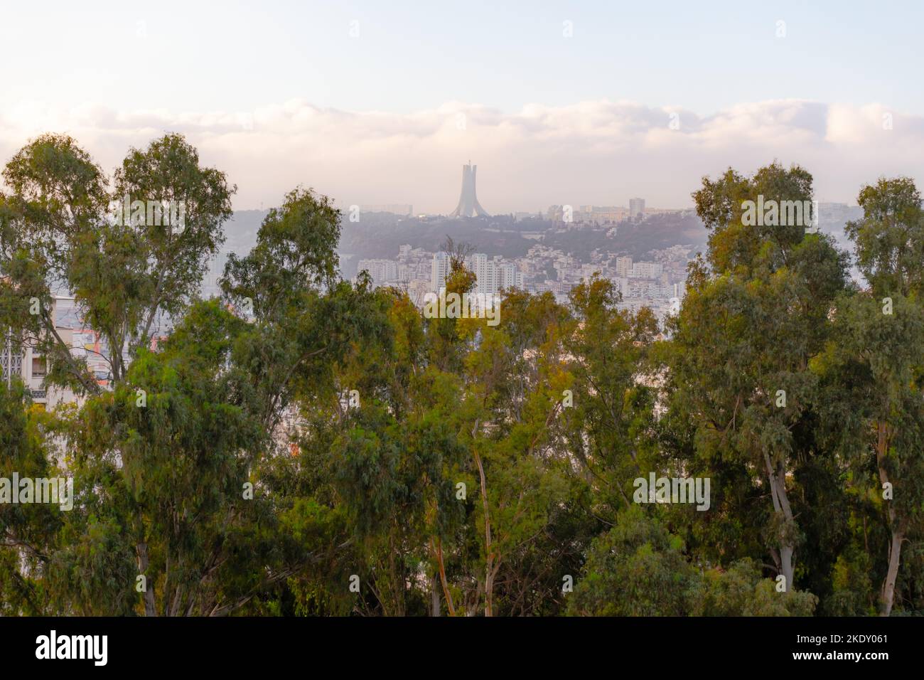 The Martyr's Memorial National Monument of Algiers seen from Ave du Docteur Frantz Fanon, El Djazair. Trees and buildings with sunlight in blue hour. Stock Photo