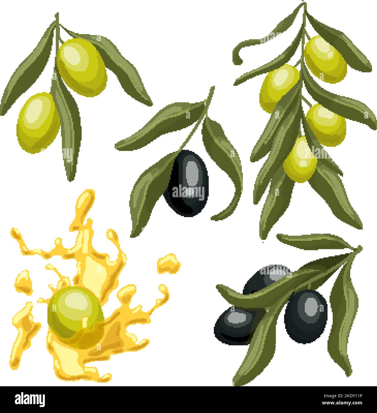 olive oil branch green set cartoon vector illustration Stock Vector