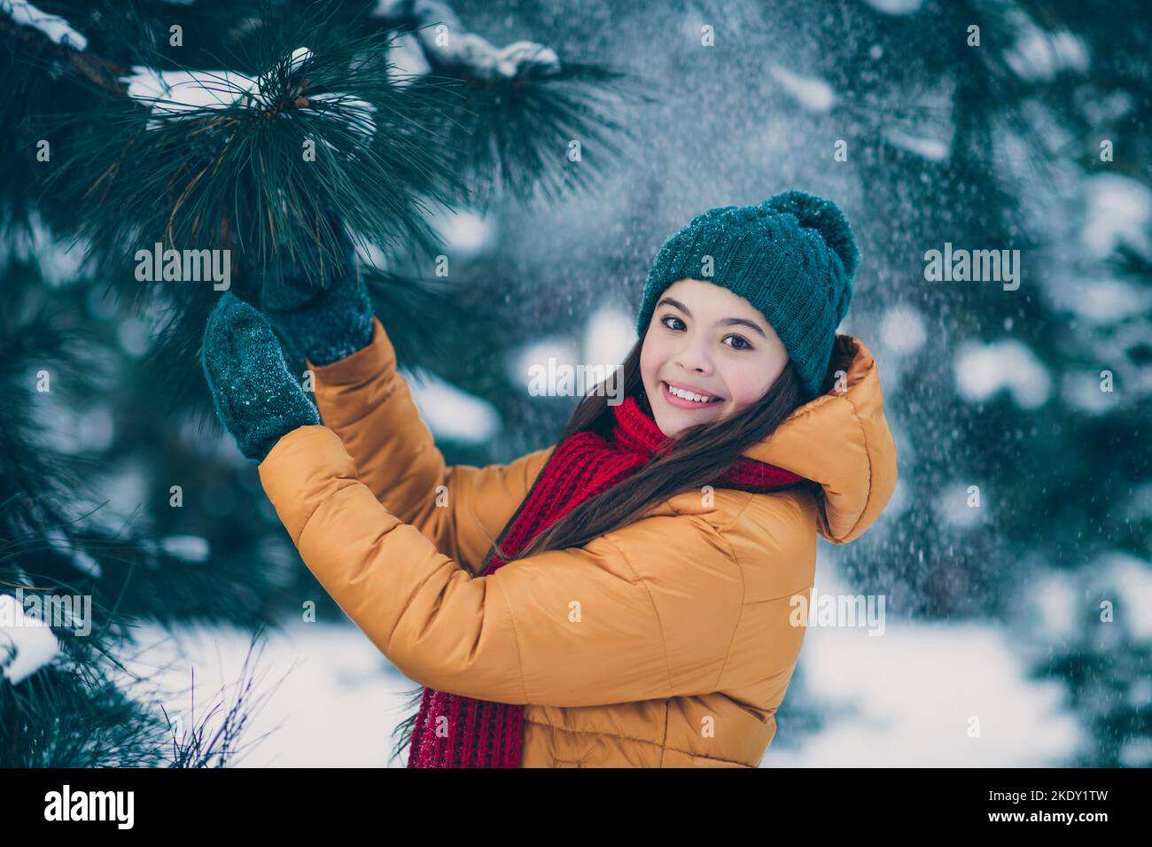 Profile side view portrait of attractive cheerful pre-teen girl wearing warm outfit visiting wild wood touching tree outdoors Stock Photo