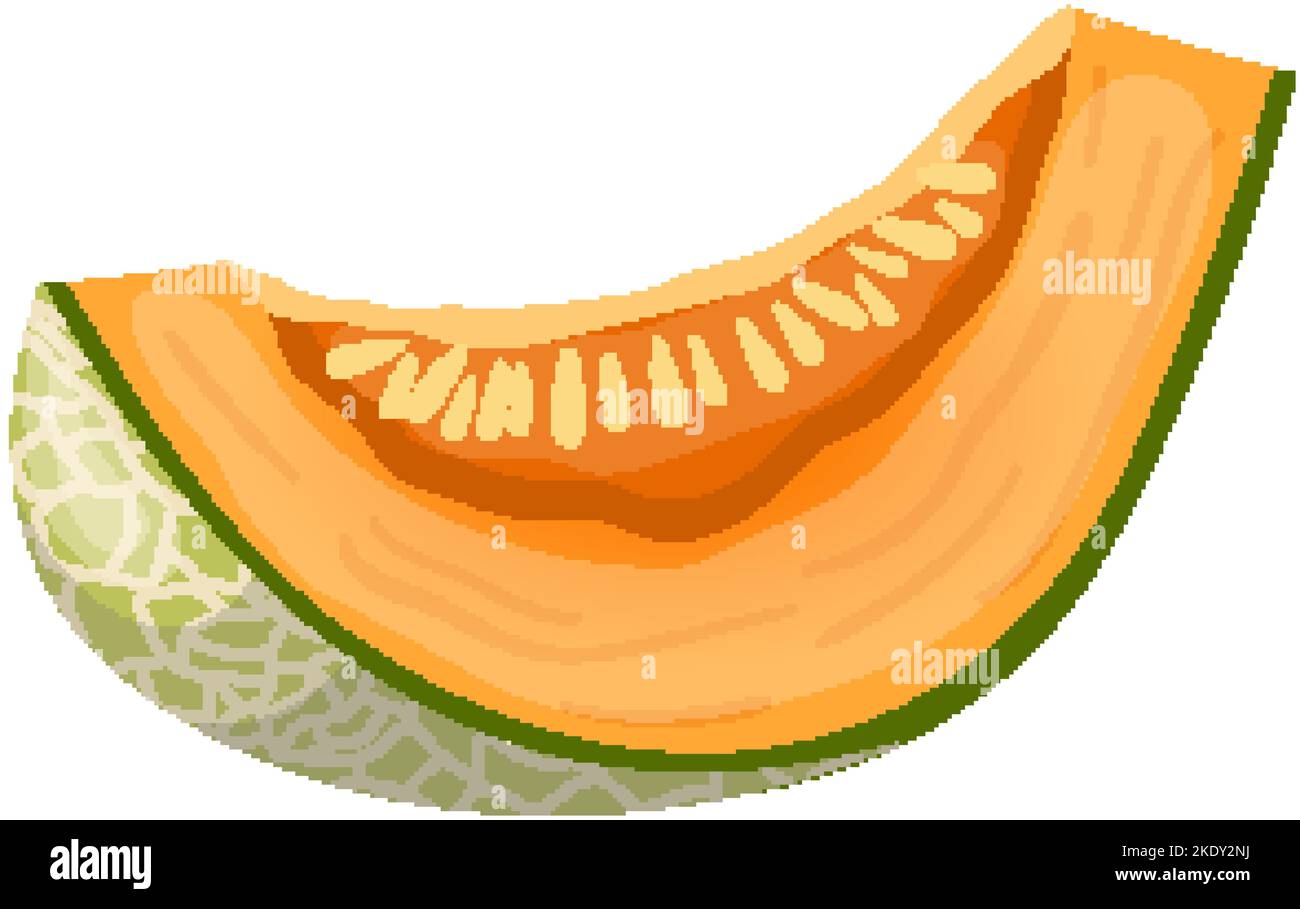 melon cantaloupe slice cartoon vector illustration Stock Vector Image