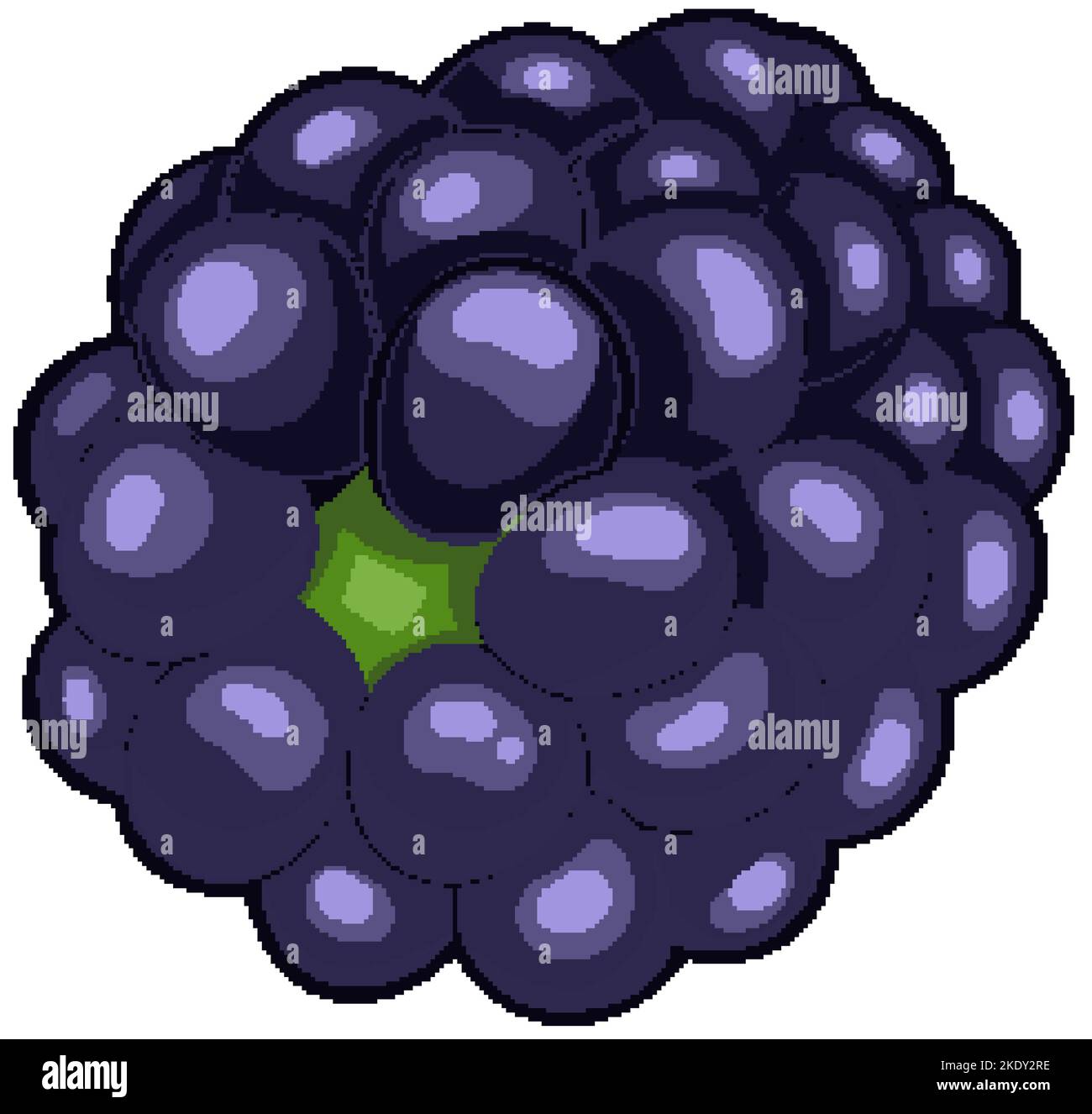 blackberry berry fruit cartoon vector illustration Stock Vector Image